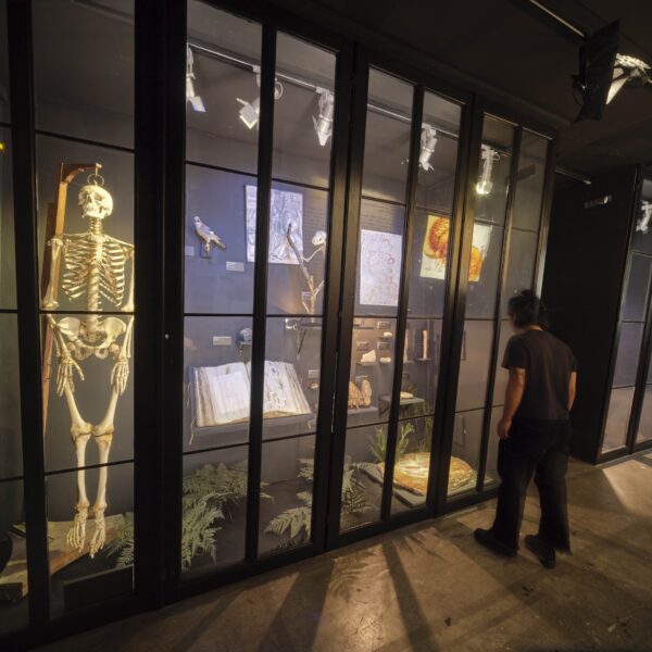 Sève élémentaire par Fabien Léaustic 
©ADAGP 2023
Photo Juan Cruz Ibanez