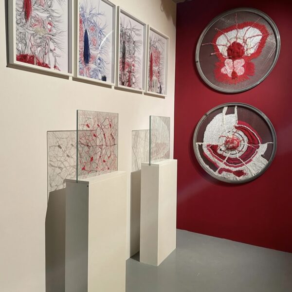 Photo : Isabel Bisson Mauduit