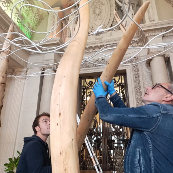 Étreintes, Lélia Demoisy à l'Hôtel de Ville de Reims
- Pour la Maison Ruinart