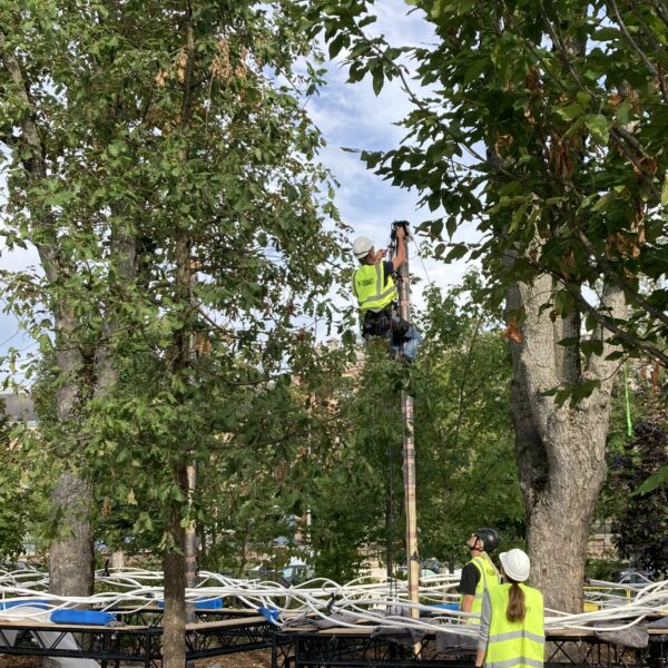 Montage Lelia Demoisy