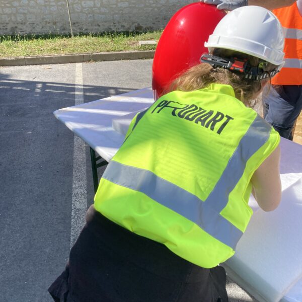 Montage Pascale Marthine Tayou