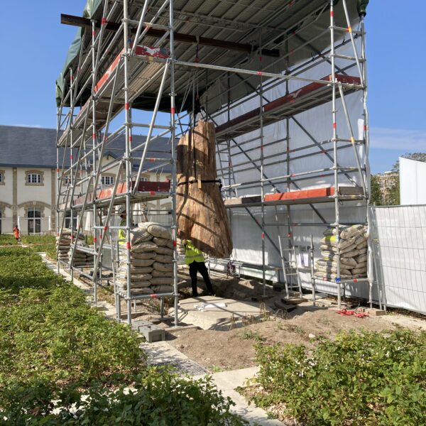 Montage Henrique Oliveira