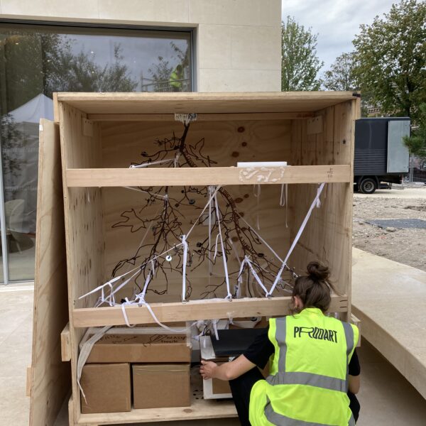 Montage Andrea Bowers