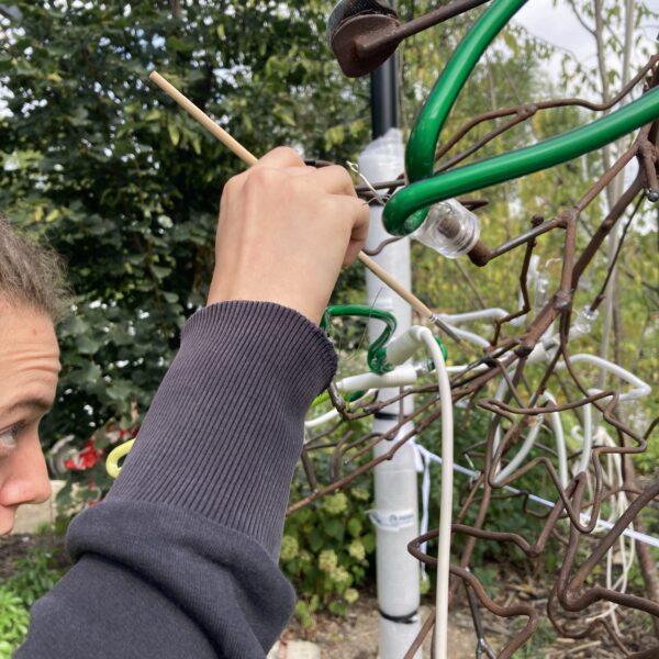 Montage Andrea Bowers