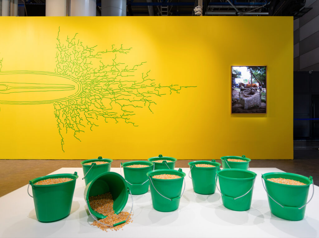 Cornucopia - Fabien Léaustic - Cité des Sciences et de l'Industrie